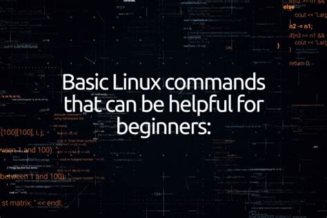 Basic Linux Commands That Can Be Helpful For Beginners Electrorules
