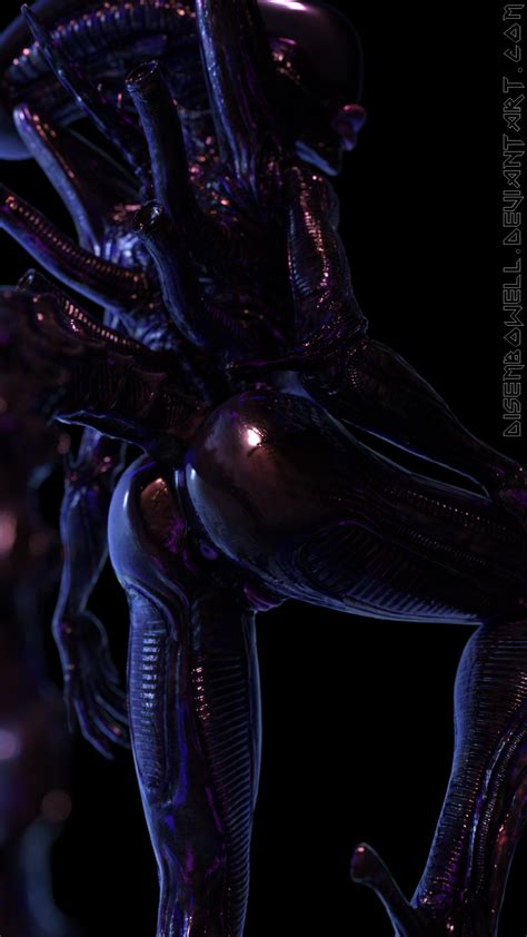 Rule D Alien Alien Franchise Anus Ass Black Background