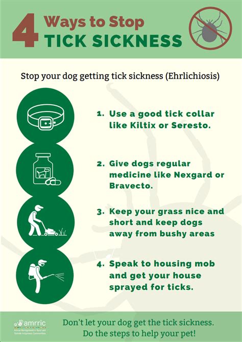 Protect Your Dog From Canine Ehrlichiosis A New Deadly Disease