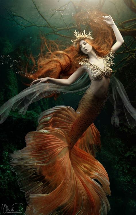 Pin By Oralia Fonseca On Sweet Mermaid Dreams Mermaid Artwork