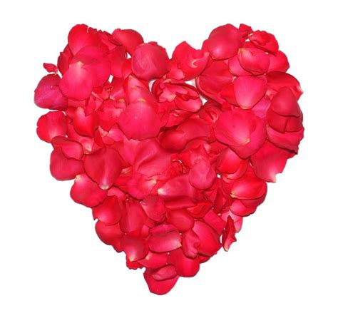 Valentinstag Herz Aus Roten Rosenbl Ten Lizenzfreie Bilder