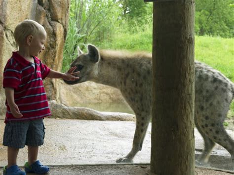 Fort Wayne Childrens Zoo