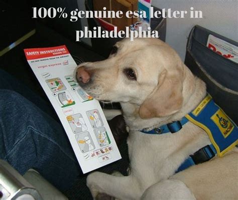 An esa prescription can help you both for traveling and we all know that an esa letter saves you on pet fare costs, keeps. Emotional Pet Support makes getting an Emotional Support ...