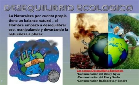 Desequilibrio Ecologico Que Es Causas Consecuencias Y Ejemplos Otosection