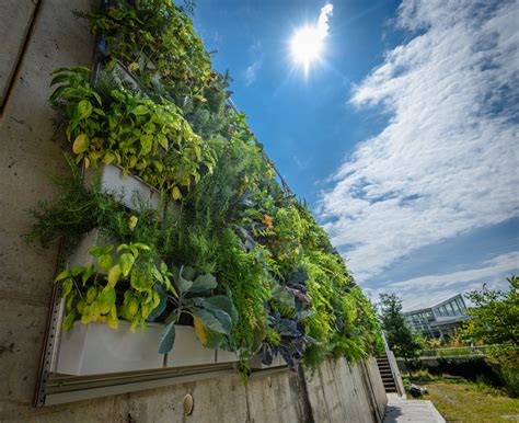 Livewall Helps Phipps Conservatory To Display Ten Vertical Food Gardens