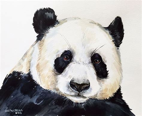 10x8 Panda Bear Portrait Wildlife Animal Art Original Watercolor