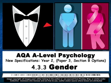Aqa A Level Psychology Year 2 Gender An Option On Paper 3 Teaching Resources