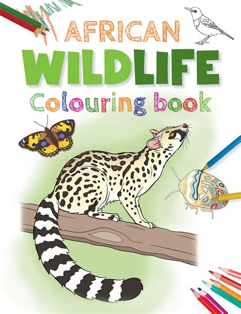 African Wildlife Colouring Book Kirstenbosch Bookshop