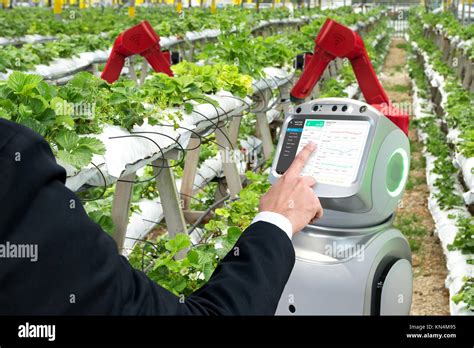 Smart Agriculture Vertical Farm Sensor Technology Concept Farmer