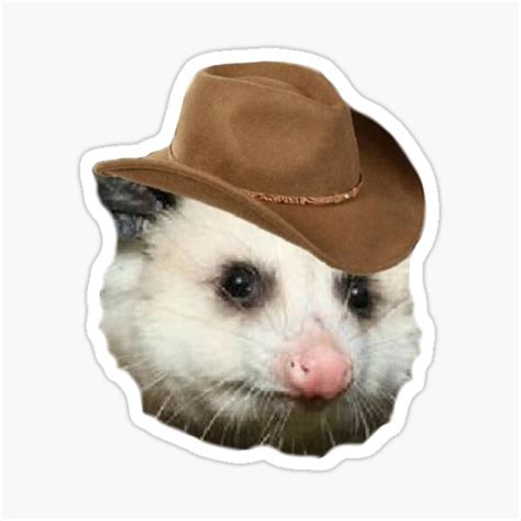 Possum Cowboy Hat Sticker For Sale By Battlegoat Redbubble