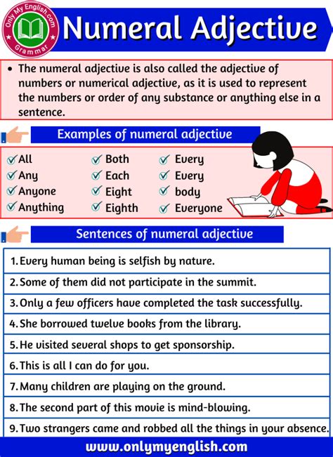 Numeral Adjective Definition Types Examples And List
