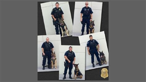 Alexandria Police Dogs Receive Body Armor Wjla