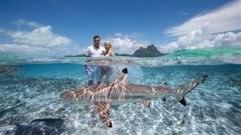 Bora Bora Full Day Aquatic Photo Tour And Resort Shooting