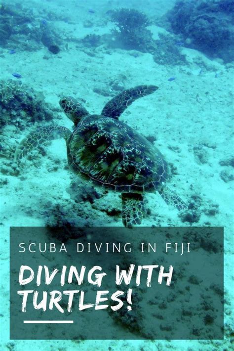 There Are So Many Wonderful Dive Sites Around The Fiji Islands And If