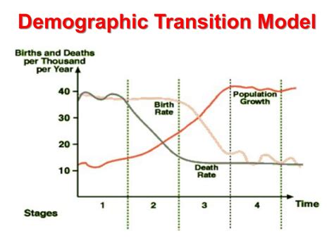 Demographic Transition Model Graph