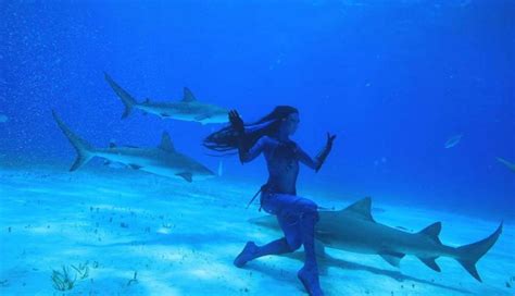 Real Life Mermaid Swims With Sharks Tries To Save Them Video Abc News