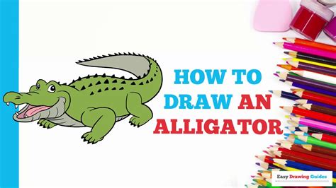 How To Draw An Alligator In A Few Easy Steps Drawing Tutorial For