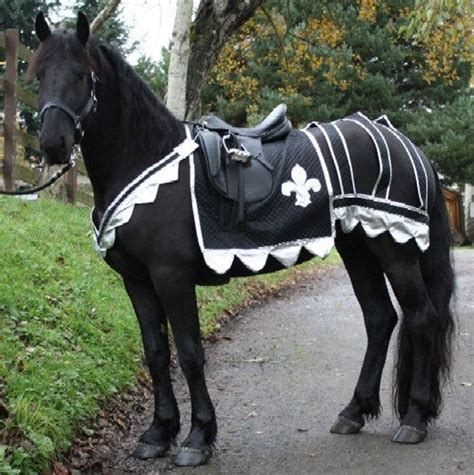 Pdf Medieval Horse Costume Pattern With Breeching And Wide Etsy In