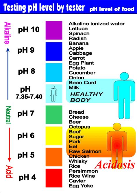 Ph Level Of Fruit Chart Bing Images Pineal Gland Pinterest Diet Health And Healthy