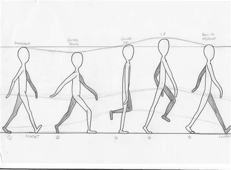 Animation Technique - Walking Cycle: Introduction, Research and First ...