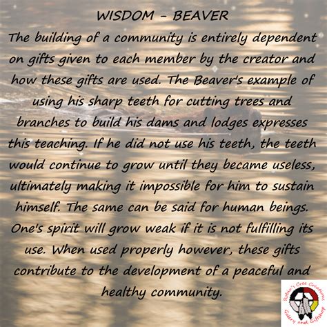 The Seven Sacred Teachings Wisdom Beaver Teachings Indigenous