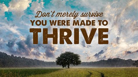 Three Ways To Go From Surviving To Thriving Troy Ismir