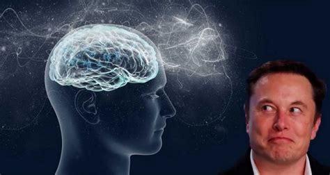 Elon Musk Souhaite Implanter Des Puces Dans Le Cerveau Des Gens Dès L