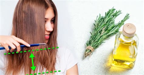 The Best Way To Use Rosemary For Hair Growth Krobknea