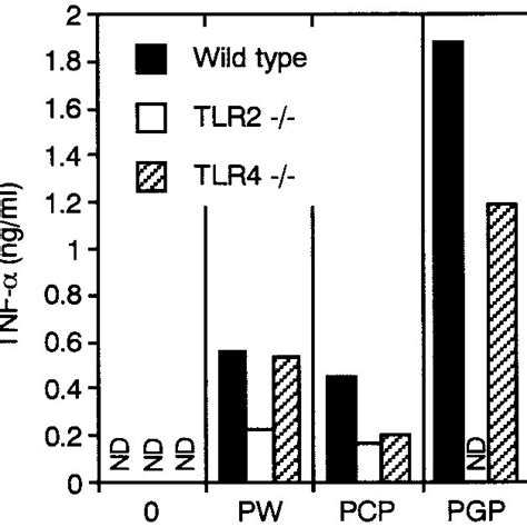Il 8 Production From Thp 1 Cells In Response To Pgp And P Intermedia