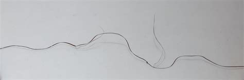 Coarse Hair, Long Hair: Splitting with Split Ends