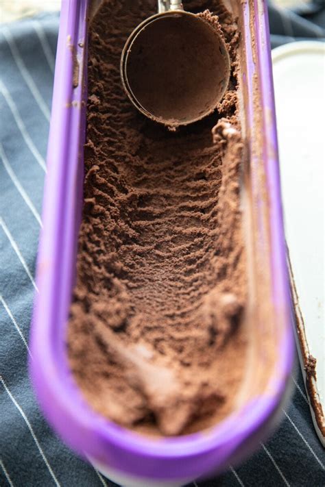 Homemade Chocolate Ice Cream Lauren S Latest