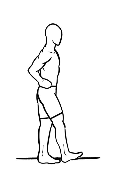 Video ️ Low Back Stabilization With Stepping Exer Pedia