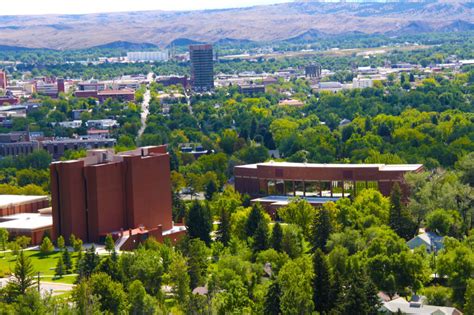 Montana State University Sport Management Sports Management Degree Guide