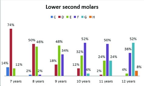 Root Development Of Lower Second Molars Download Scientific Diagram
