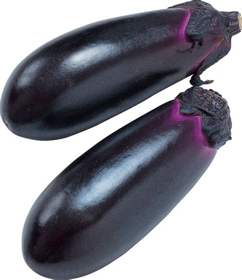 Eggplant Png Images Free Download Transparent Image Download Size