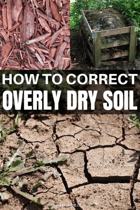 Most houseplants are tropical plants. How To Correct Overly Dry Soil With Compost and Mulch ...