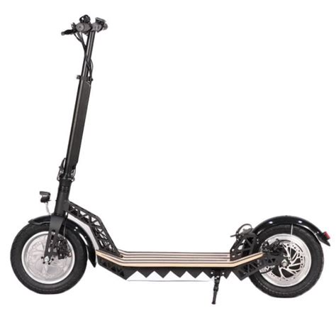 China Adult Tricycle Citycoco Three Wheeled Electric Trike Scooter