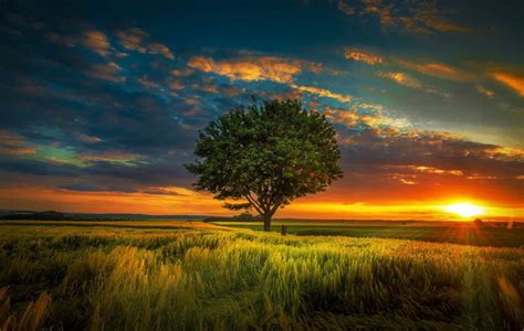 Amazing Views, Cool Nature Photos, Nature Wallpaper For Samsung, HD