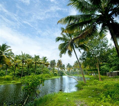 The Beauty Of Kerala Incredible India Places To Travel Kerala India