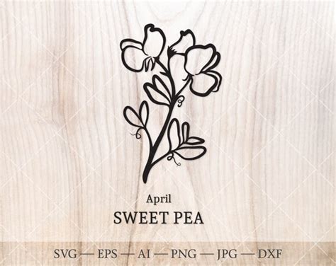 Sweet Pea SVG April Geboorte Bloem SVG Geboortemaand Etsy België
