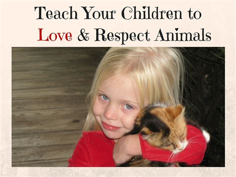 Toddlers And Pets How To Teach Respect And Compassion Mommy Today