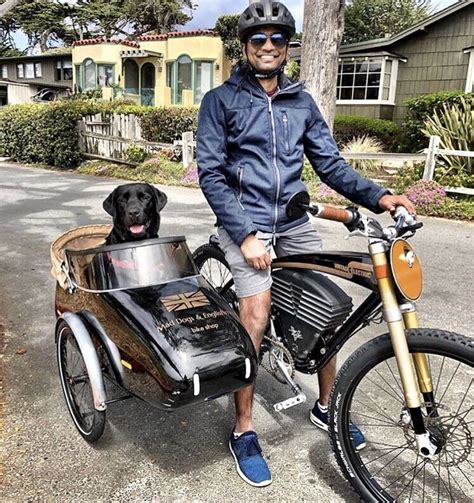 Sidecars Mad Dogs And Englishmen Biking With Dog Bicycle Sidecar Bike