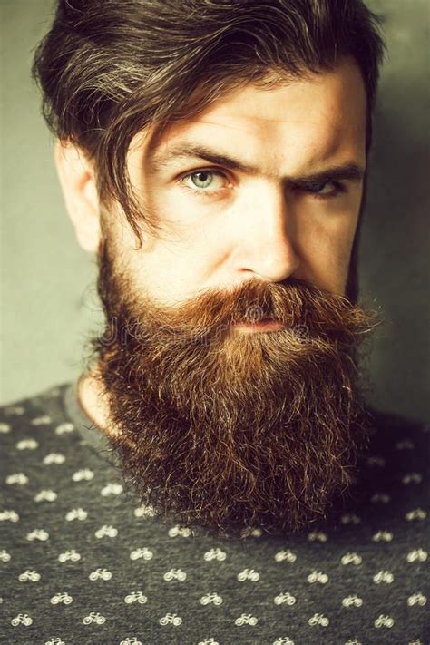 Handsome Bearded Man Stock Image Image Of Long Facial 122449327