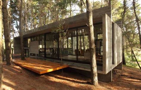 Concrete Houses Design In Forest Area