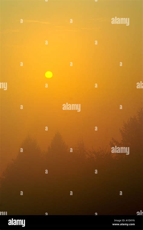 Sun Rising In Orange Mist Above Mountain Ridge Horizon And Forest Trees