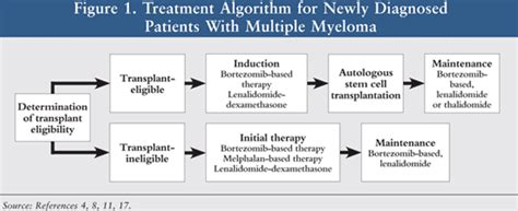 Multiple Myeloma An Overview Of The Disease And Treatment Options