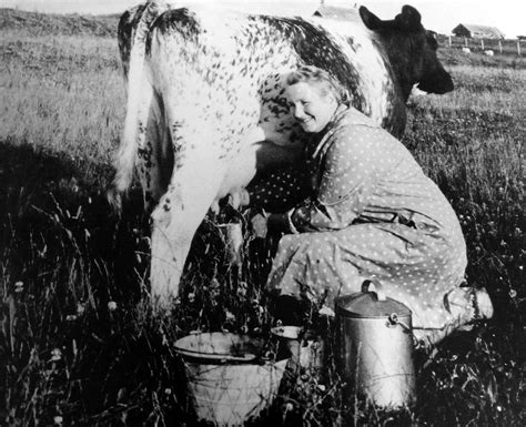 Tour Scotland Old Photograph Milking Cow Isle Of Skye Scotland