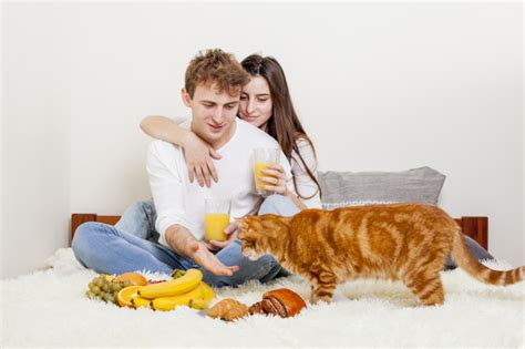 Wer wurde eher im bett der eltern sex haben youtube. Junge paare, die im bett frühstücken | Kostenlose Foto