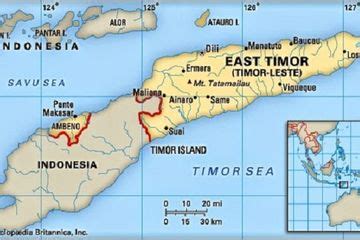 Dinas Pu Timor Leste Diduga Geser Patok Batas Negara Di Ttu Detikdata