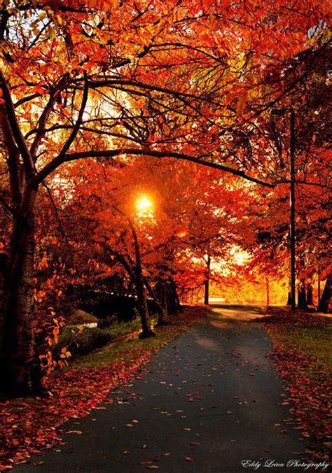 14350 Best Autumn Images On Pinterest Autumn Leaves